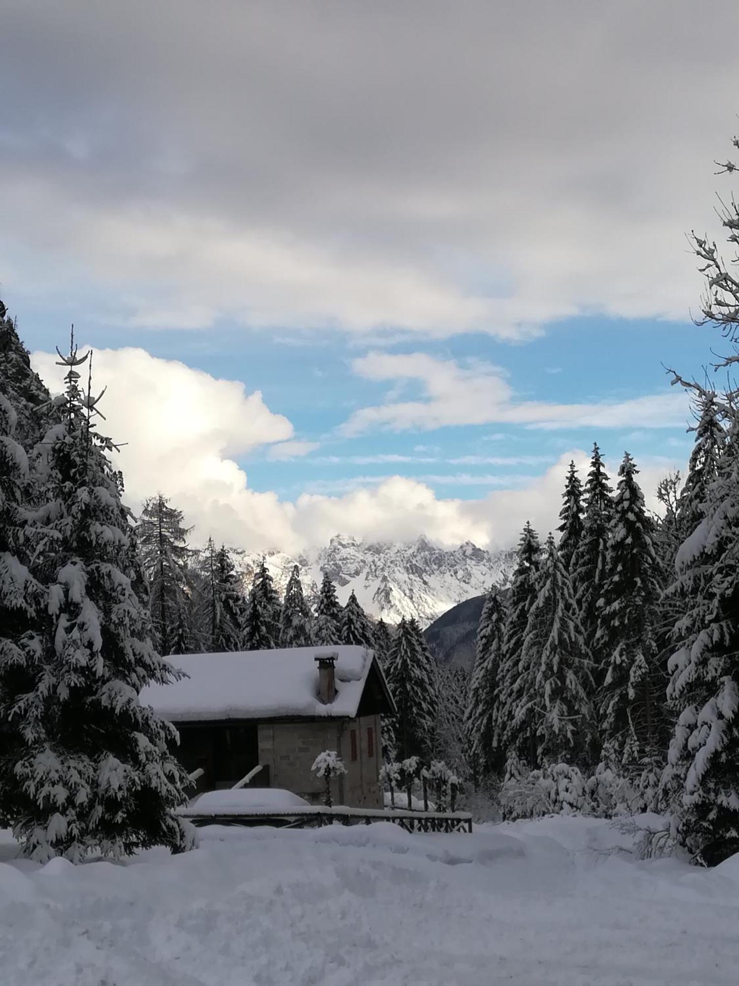 Casa Elena Leilighet Pieve di Cadore Eksteriør bilde