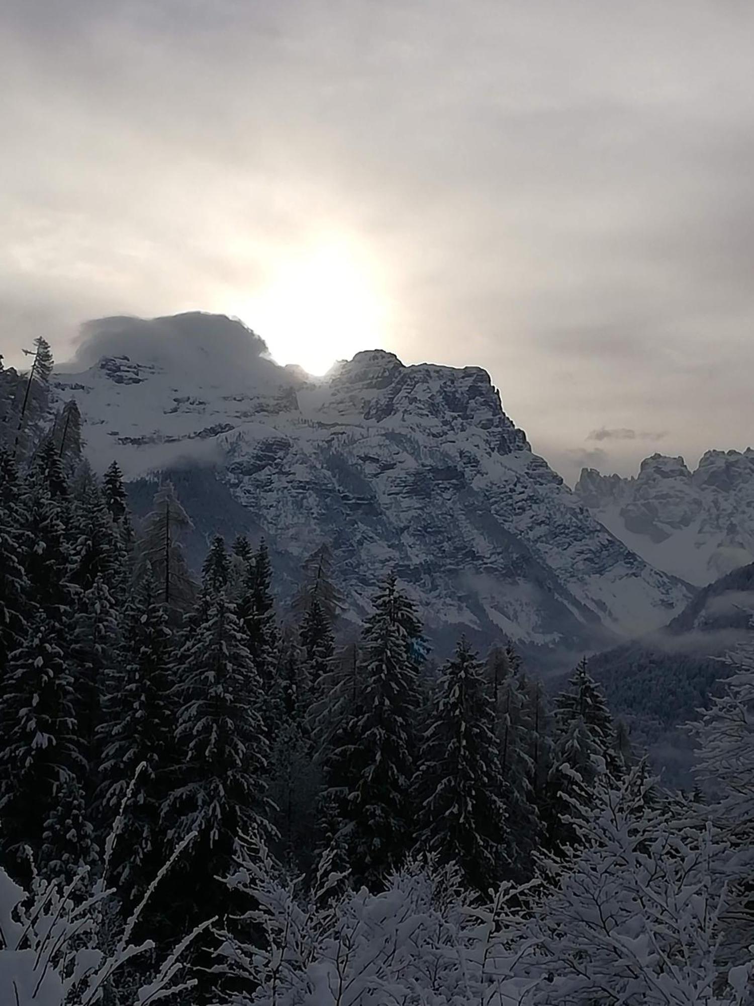 Casa Elena Leilighet Pieve di Cadore Eksteriør bilde